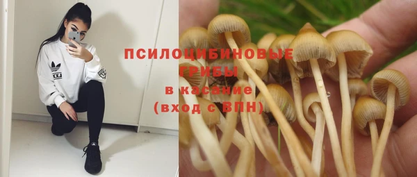 ГАЛЛЮЦИНОГЕННЫЕ ГРИБЫ Балабаново