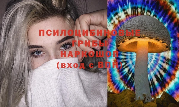 MESCALINE Баксан