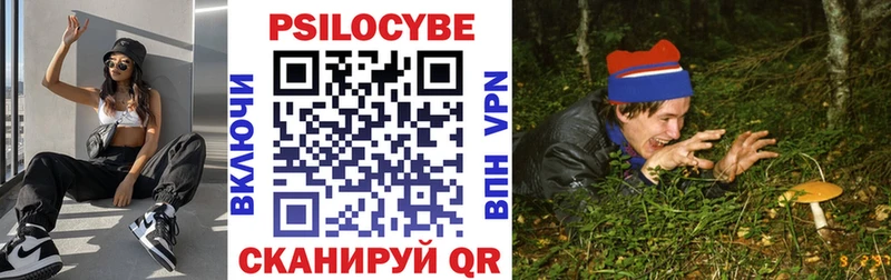 Галлюциногенные грибы Psilocybe  darknet какой сайт  Железногорск-Илимский  даркнет сайт 